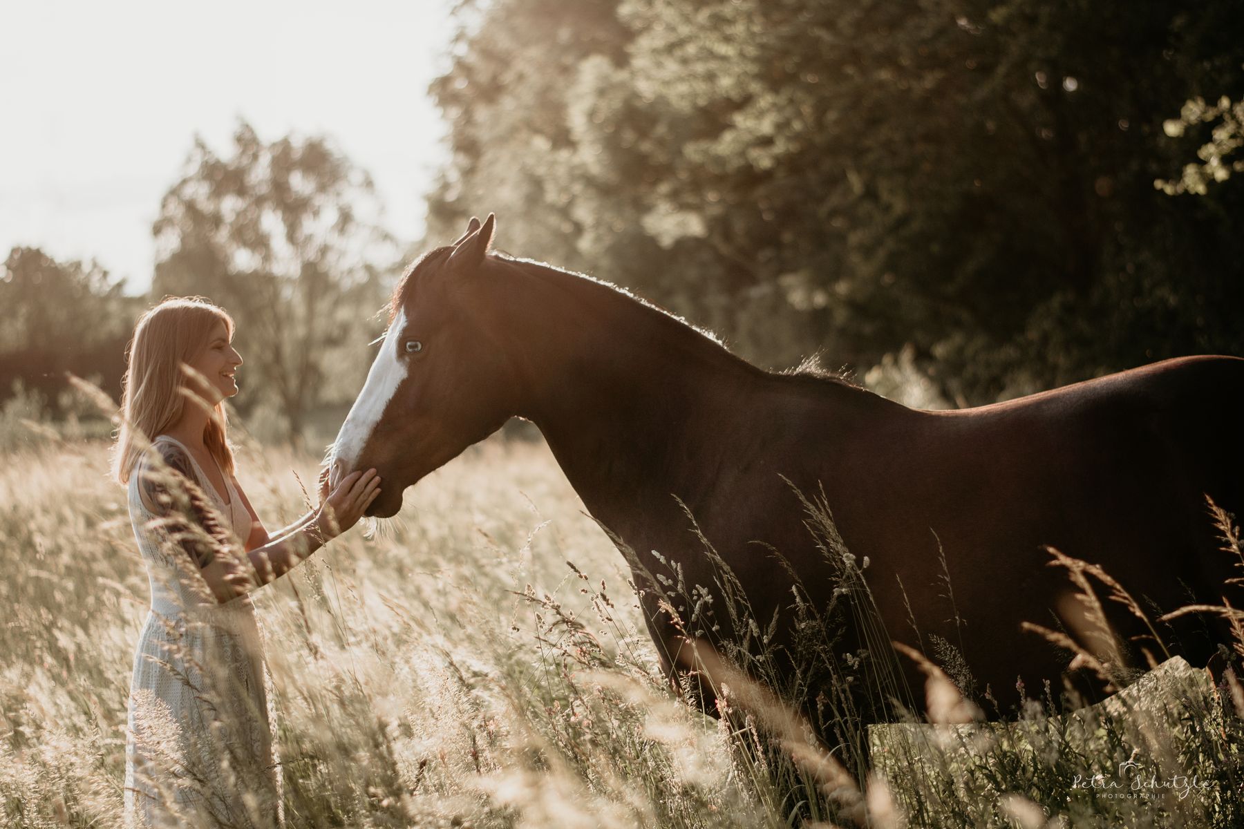 shooting-photo-animaux-22